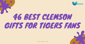 46 Best Clemson Gifts For Tigers Fans