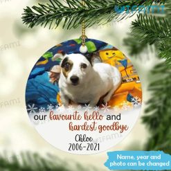 Custom Pet Ornament Our Favourite Hello And Hardest Goodbye Pet Memorial Gift