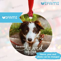 Custom Pet Remembrance Ornament Forever Loved Pet Loss Gift