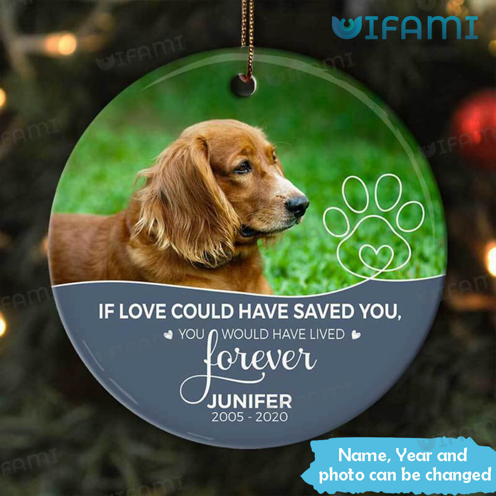 Pet Loss Ornament If Love Could Have Saved You Personalized Pet Memorial Gift