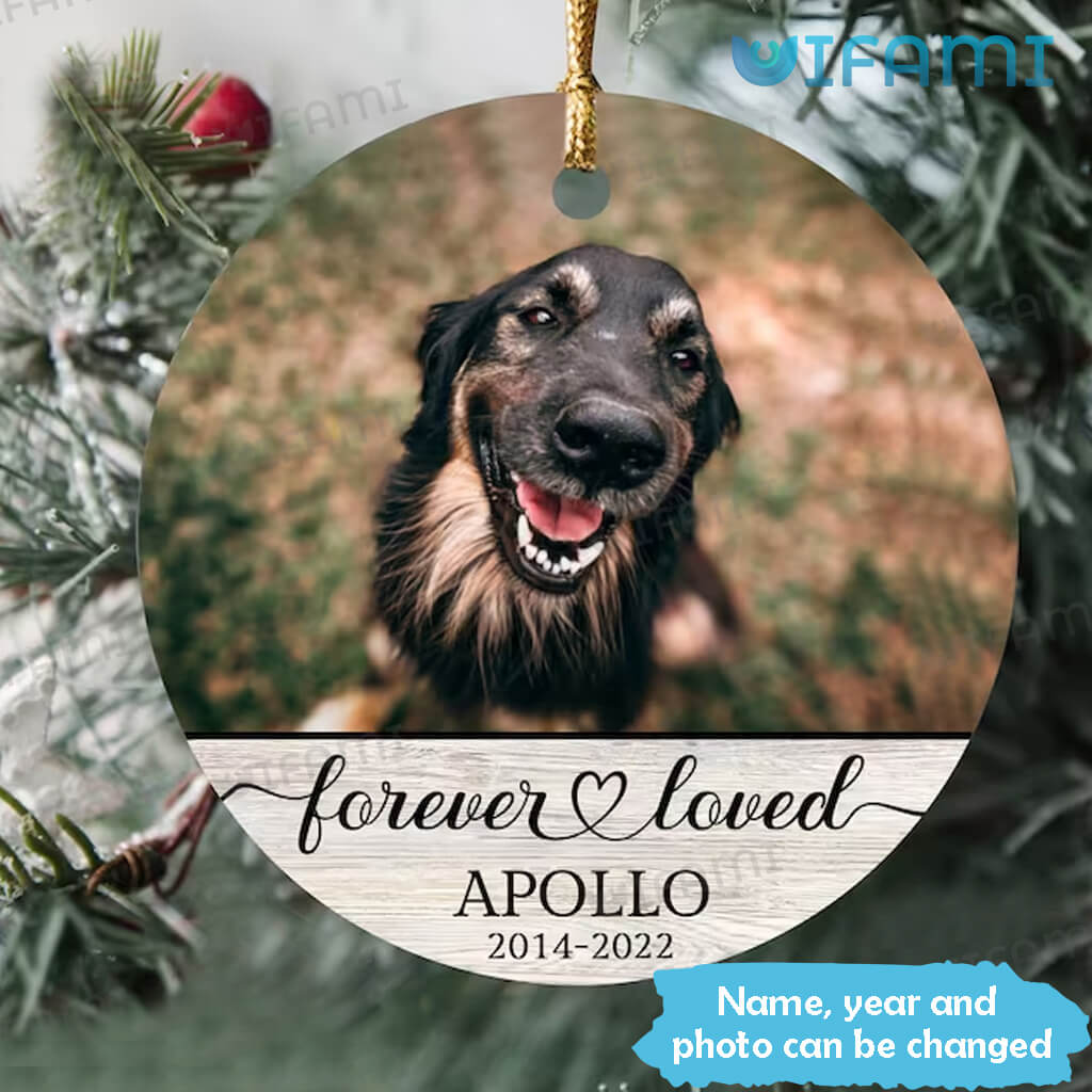 Cherish Your Beloved Pet with a Forever Loved Memorial Ornament