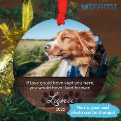 Pet Remembrance Ornament Customized If Love Could Have Kept You Here Pet Loss Gift