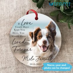 Custom Pet Memorial Ornament Forever Loved Pet Loss Gift