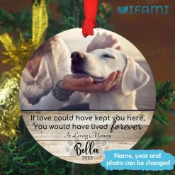 Photo Personalized Pet Ornament In Memory Pet Sympathy Gift