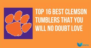 Top 16 Best Clemson Tumblers That You Will No Doubt Love