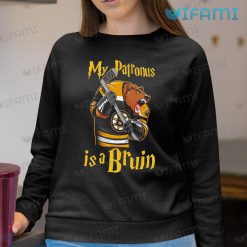 Bruins Shirt My Patronus Is A Bruin Bear Boston Bruins Sweashirt