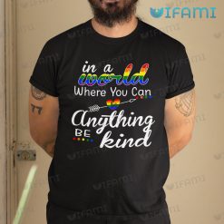 LGBT Shirt Be Kind In A World Where You Can Be Anything LGBT Gift