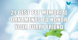 21 Best Pet Memorial Ornaments To Honor Your Furry Friend