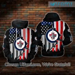 Vintage Winnipeg Jets Hoodie 3D Breathtaking USA Flag Gift