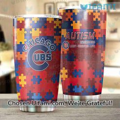 Cubs Stainless Steel Tumbler Colorful Autism Chicago Cubs Gift Ideas Best selling