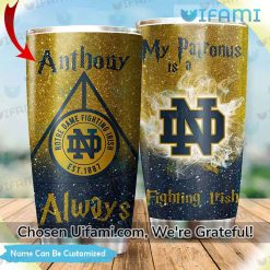Notre Dame Stainless Steel Tumbler Custom My Patronus Notre Dame Gift For Dad