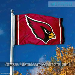 Arizona Cardinals Flag Spectacular Gift Best selling