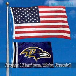 Baltimore Ravens House Flag Unbelievable Ravens Gift