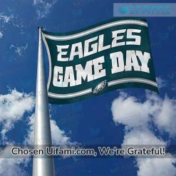 Big Philadelphia Eagles Flag Cool Game Day Gift
