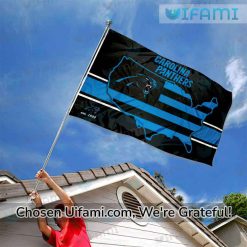 Carolina Panthers Flag 3x5 Spirited USA Map Gift Exclusive