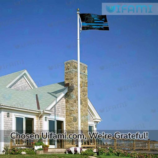 Carolina Panthers Flag 3×5 Spirited USA Map Gift