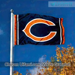 Chicago Bears Flag Football Useful Gift Best selling