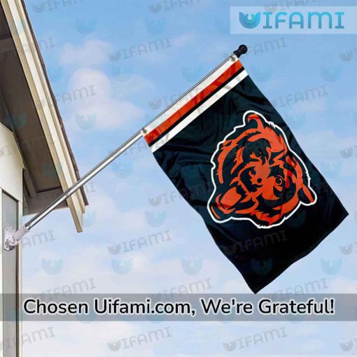 Chicago Bears House Flag Wonderful Gift