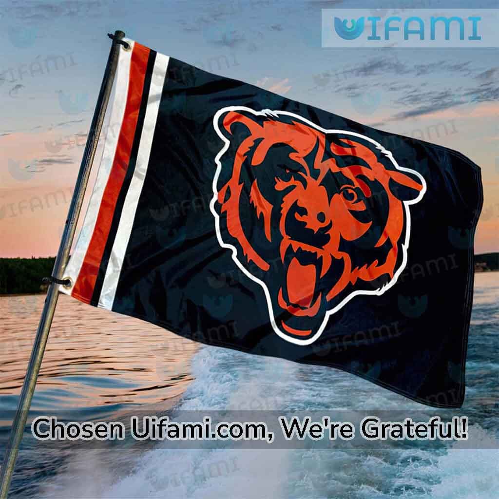 Chicago Bears House Flag Wonderful Gift