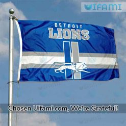 Detroit Lions Outdoor Flag Irresistible Gift