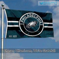 Eagles House Flag Amazing Gifts For Philadelphia Eagles Fans
