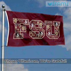 FSU Flag Football Last Minute Florida State Seminoles Gift Ideas Best selling