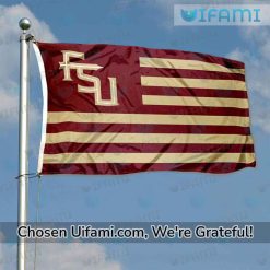 FSU House Flag Awe inspiring USA Flag FSU Gift Best selling