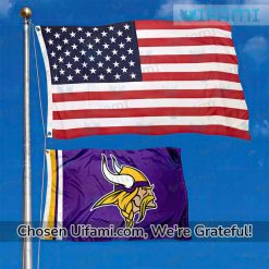 Minnesota Vikings Outdoor Flag Gorgeous Gift
