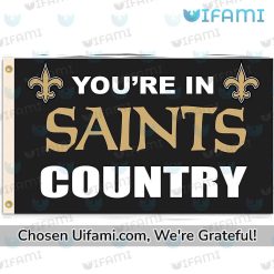 New Orleans Saints House Flag Rare Country Gift