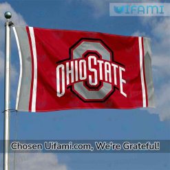 Ohio State Flags For Sale Best Ohio State Buckeyes Gifts Best selling