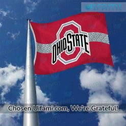 Ohio State Outdoor Flag Exclusive Ohio State Buckeyes Gifts For Mom