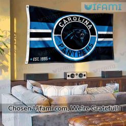 Panthers Flag Football Surprising Carolina Panthers Gift Latest Model