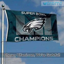 Philadelphia Eagles Outdoor Flag Greatest Super Bowl LII Gift Best selling