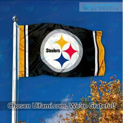 Steelers Flag Football Pittsburgh Steelers Gift Ideas Best selling