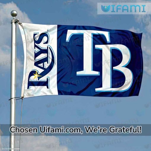 Tampa Bay Rays Flag Surprising Rays Gift