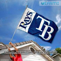 Tampa Bay Rays Flag Surprising Rays Gift Exclusive