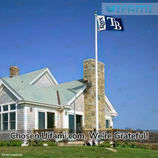 Tampa Bay Rays Flag Surprising Rays Gift