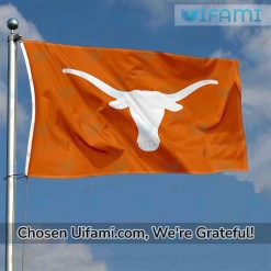 Texas Longhorns Flag Terrific Gift
