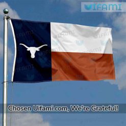 Texas Longhorns Outdoor Flag Cool Texas Flag Gift