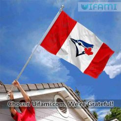 Toronto Blue Jays Flag Outstanding Blue Jays Gift