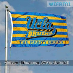 UCLA Bruins Flag New USA Flag Gift