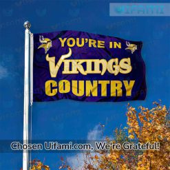 Vikings House Flag Surprise Country Minnesota Vikings Gift Best selling