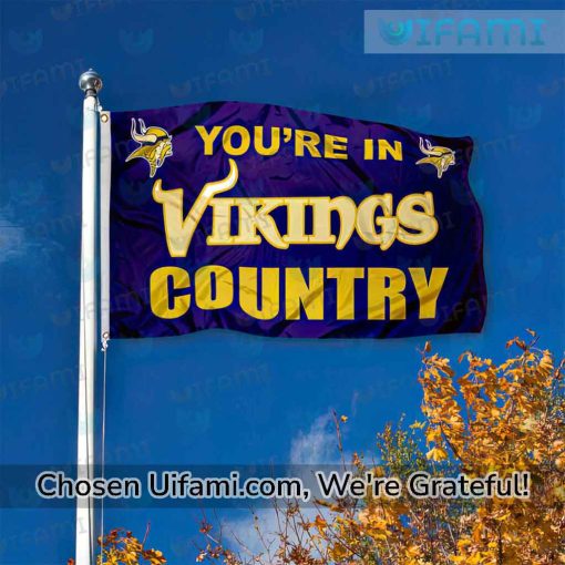 Vikings House Flag Surprise Country Minnesota Vikings Gift