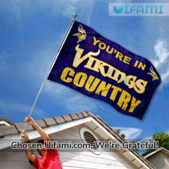 Vikings House Flag Surprise Country Minnesota Vikings Gift Exclusive