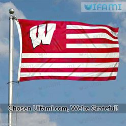 Wisconsin Badgers Flag 3x5 Surprise USA Flag Gift Best selling