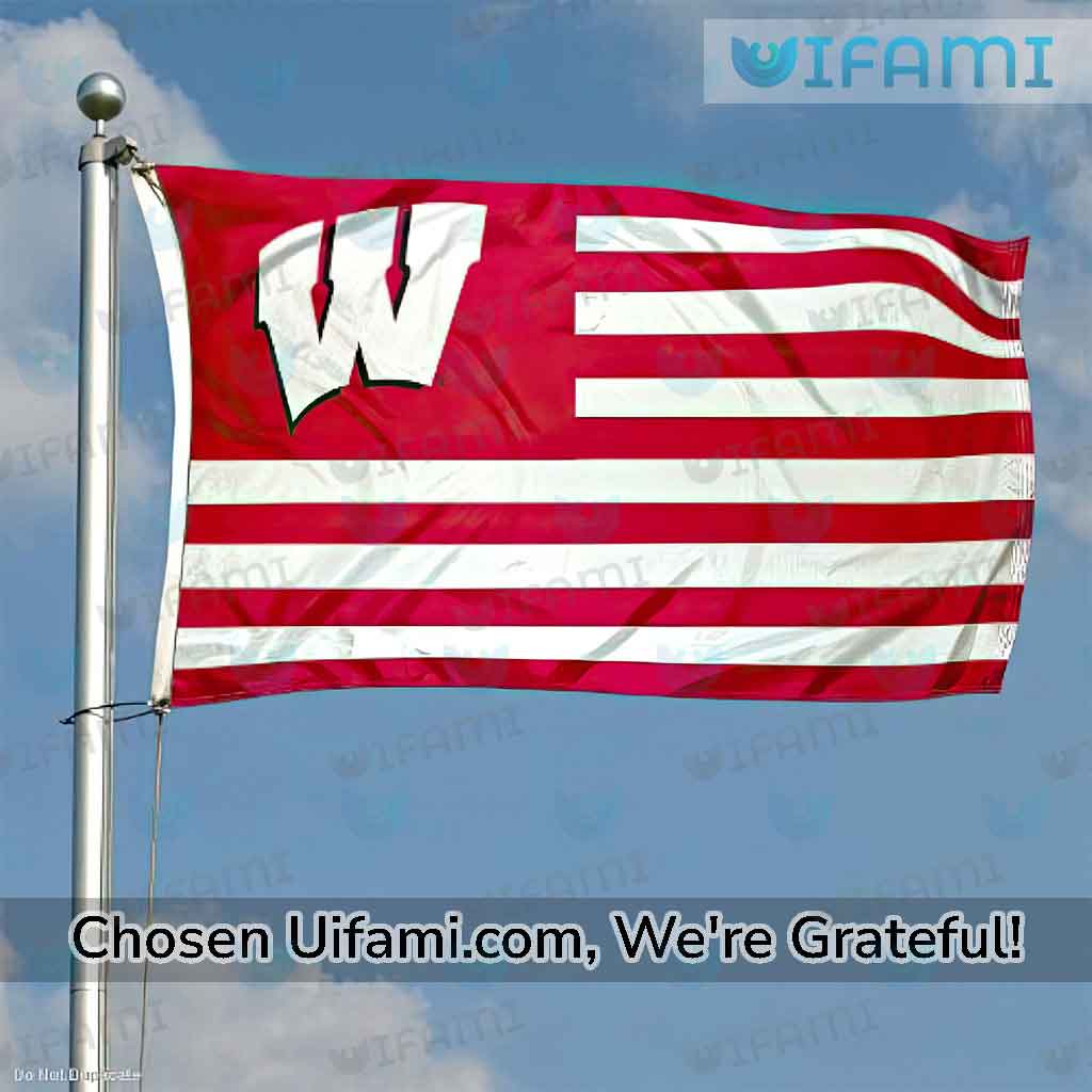 Wisconsin Badgers Flag 3x5 Surprise USA Flag Gift