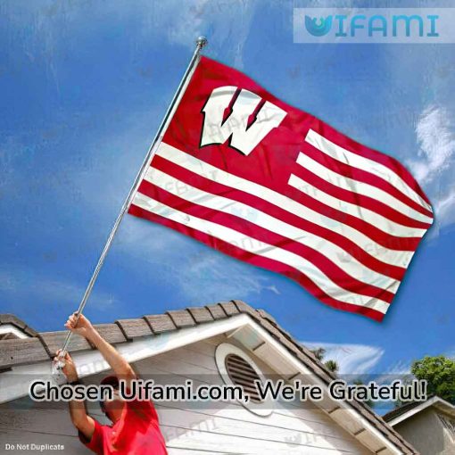 Wisconsin Badgers Flag 3×5 Surprise USA Flag Gift