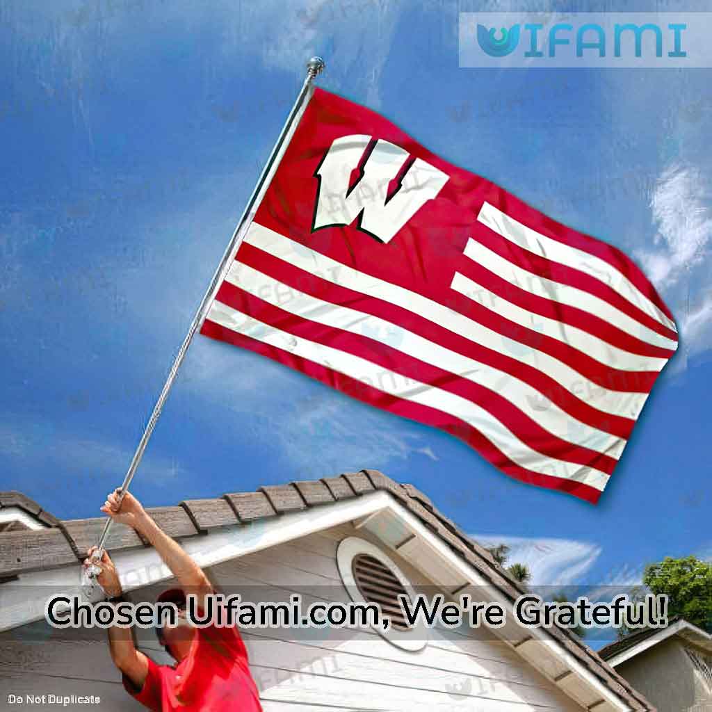 Wisconsin Badgers Flag 3x5 Surprise USA Flag Gift