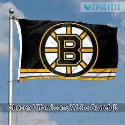 Boston Bruins Flag Awesome Bruins Gift