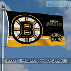 Bruins Flag Beautiful Boston Bruins Gift